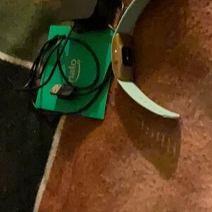 Amazon Halo Fit Band Rose Gold Teal Sport